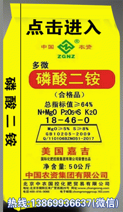 13（点击）中国农资集团磷酸二铵